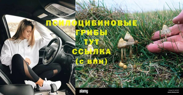 прущая мука Армянск