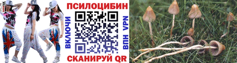 Галлюциногенные грибы Cubensis  Дзержинск 